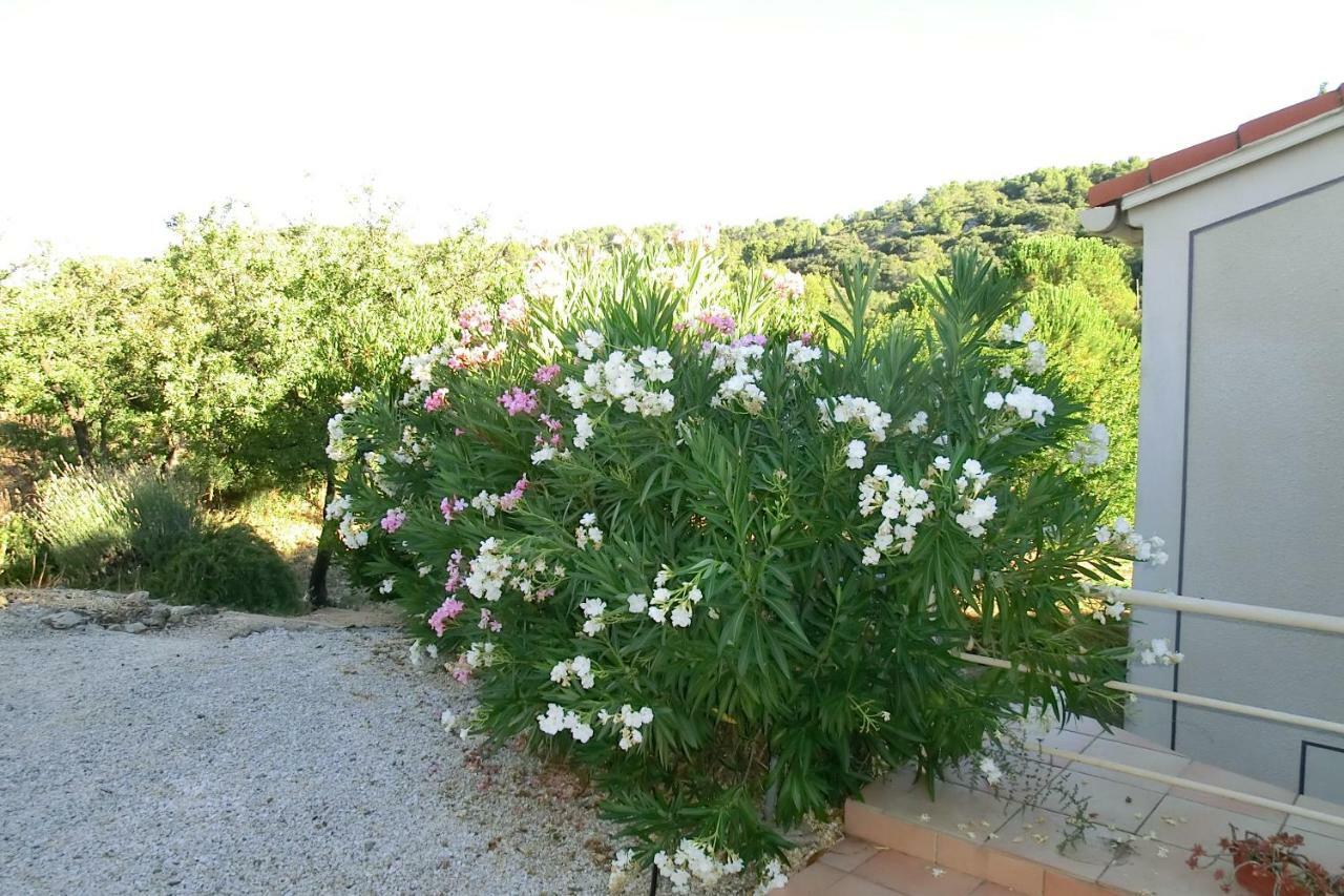 Gite Charlrose At La Platriere Cazedarnes المظهر الخارجي الصورة