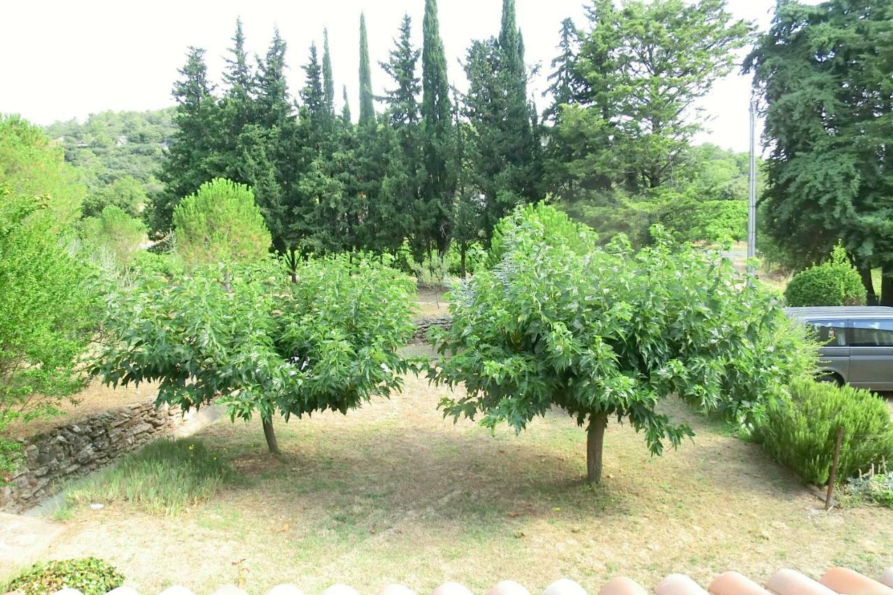 Gite Charlrose At La Platriere Cazedarnes المظهر الخارجي الصورة