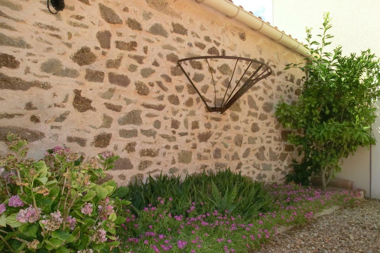 Gite Charlrose At La Platriere Cazedarnes المظهر الخارجي الصورة
